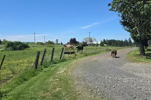 205 Nikula Rd, Winlock, WA 98596 - Photo 26