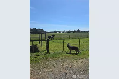 205 Nikula Road, Winlock, WA 98596 - Photo 24