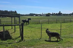 205 Nikula Rd, Winlock, WA 98596 - Photo 24