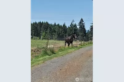 205 Nikula Road, Winlock, WA 98596 - Photo 28
