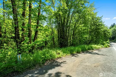 0 Lewisville Highway, Yacolt, WA 98675 - Photo 4