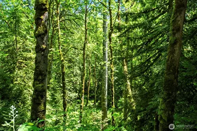 0 Lewisville Highway, Yacolt, WA 98675 - Photo 16