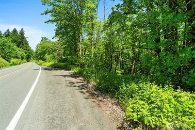 0 Lewisville Highway, Yacolt, WA 98675 - Photo 6