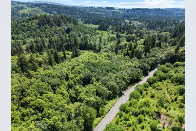0 Lewisville Highway, Yacolt, WA 98675 - Photo 2