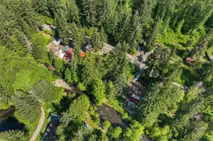 131 Nisqually Way, Ashford, WA 98304 - Photo 20