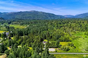 5554 Potter Rd, Deming, WA 98244 - Photo 4