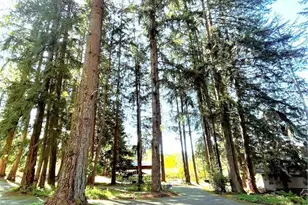 3124 Zenkner Valley Road SW, Centralia, WA 98531 - Photo 24