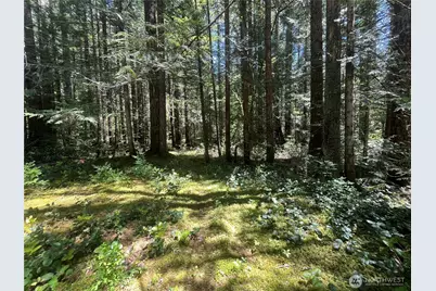 212 N Mt Jupiter Dr, Hoodsport, WA 98548 - Photo 20