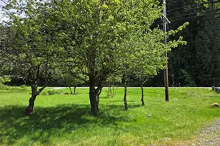 11697 US Hwy 12, Randle, WA 98377 - Photo 24