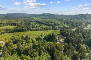 172 S Bank Rd, Elma, WA 98541 - Photo 36