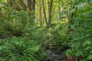 8574 Mt Baker Hwy, Deming, WA 98244 - Photo 24