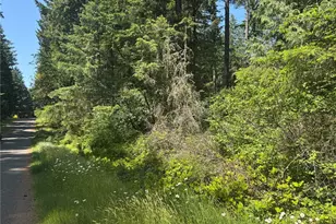 11409 & 11413 Hillcrest Dr, Anderson Island, WA 98303 - Photo 6