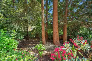 2302 126th Ave NE, Bellevue, WA 98005 - Photo 34