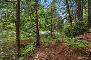 110 E Shannon Pl, Shelton, WA 98584 - Photo 30