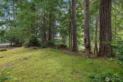 110 E Shannon Place, Shelton, WA 98584 - Photo 28