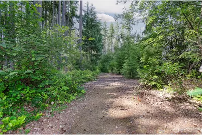 3800 Lanyard Drive NE, Lacey, WA 98516 - Photo 30