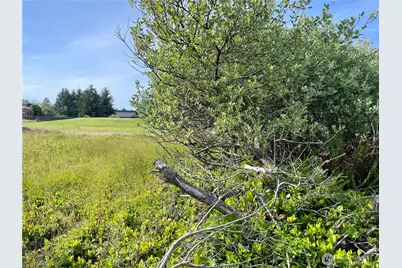 301 Octopus Avenue NE, Ocean Shores, WA 98569 - Photo 8