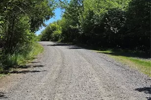 147 Tara Ln, Vader, WA 98593 - Photo 38