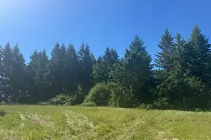 692 24 Burchett Rd, Onalaska, WA 98570 - Photo 1