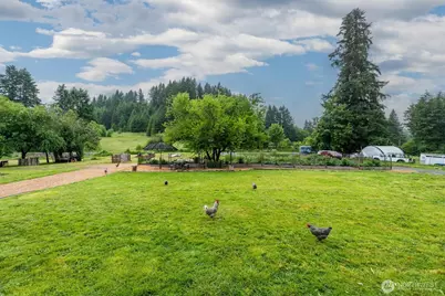 224 Brim Creek Road, Vader, WA 98593 - Photo 4