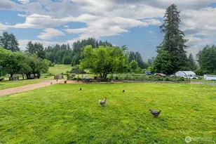 224 Brim Creek Rd, Vader, WA 98593 - Photo 4