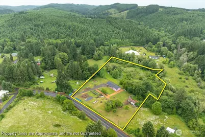 224 Brim Creek Road, Vader, WA 98593 - Photo 12