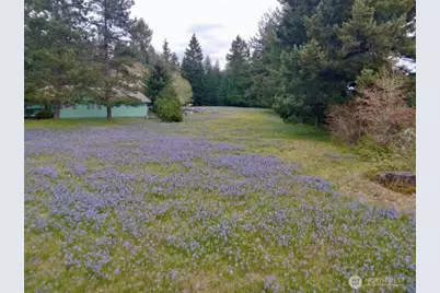 503 Centre Street N, Rainier, WA 98576 - Photo 18