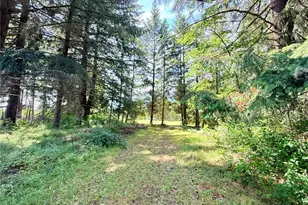 503 Centre St N, Rainier, WA 98576 - Photo 12