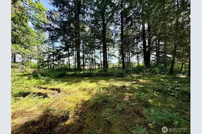 503 Centre Street N, Rainier, WA 98576 - Photo 10