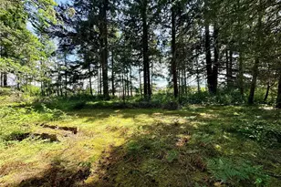 503 Centre St N, Rainier, WA 98576 - Photo 10