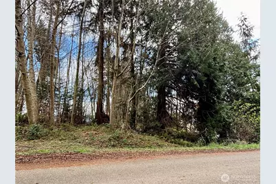 999 Bluejay Lane, Port Ludlow, WA 98365 - Photo 10