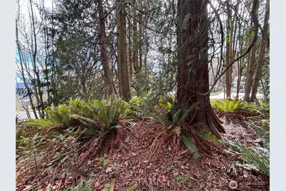 999 Bluejay Lane, Port Ludlow, WA 98365 - Photo 6