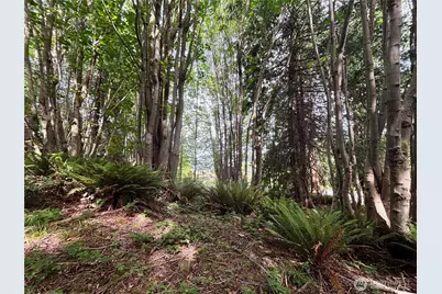 999 Bluejay Lane, Port Ludlow, WA 98365 - Photo 14