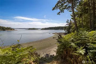 214 Pinedrona Ln, Friday Harbor, WA 98250 - Photo 32