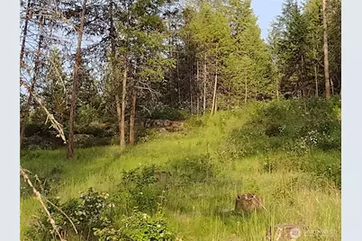 39 Leonard Lane, Curlew, WA 99118 - Photo 30
