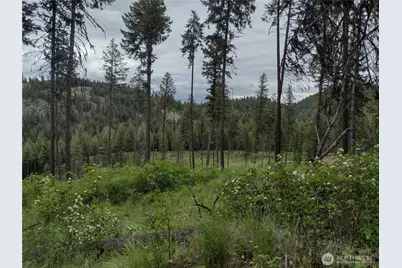 39 Leonard Lane, Curlew, WA 99118 - Photo 2