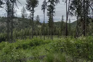39 Leonard Ln, Curlew, WA 99118 - Photo 2