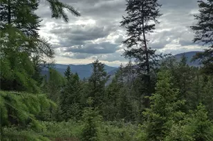 39 Leonard Ln, Curlew, WA 99118 - Photo 6