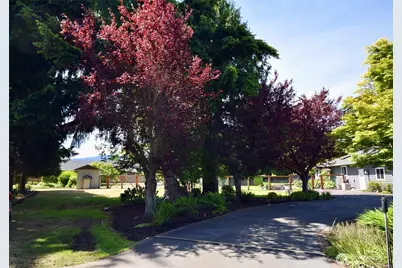 42 Ioka Road, Sequim, WA 98382 - Photo 38