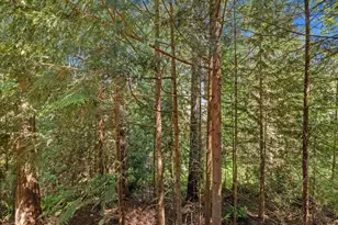 17116 Gravenstein Rd, Bothell, WA 98012 - Photo 24
