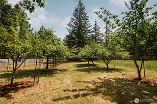 8007 114th Ln SW, Olympia, WA 98512 - Photo 40