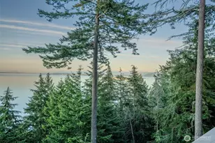 105 Windfall Ln, Orcas Island, WA 98245 - Photo 6