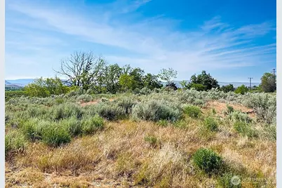 0 Lot 4 Freese Duck Lake Road, Omak, WA 98841 - Photo 14
