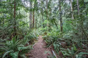 9393 Phillips Rd SE, Port Orchard, WA 98367 - Photo 38