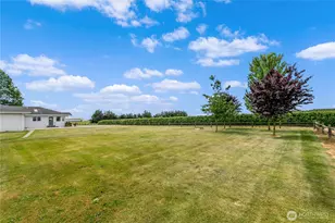 3084 Lindsay Rd, Everson, WA 98247 - Photo 24