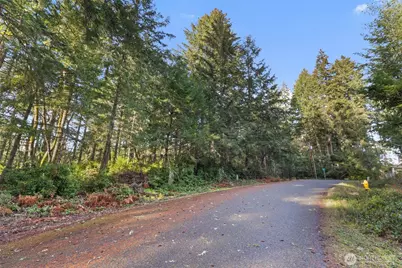 10510 Olympic Place, Anderson Island, WA 98303 - Photo 2