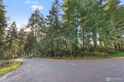 10510 Olympic Place, Anderson Island, WA 98303 - Photo 1