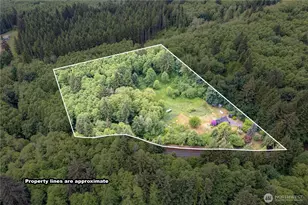 355 Slide Creek Rd, Longview, WA 98632 - Photo 36