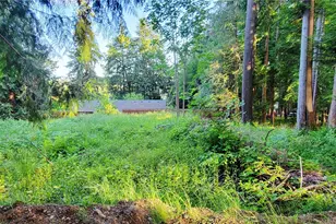1810 Mason St, Shelton, WA 98584 - Photo 1