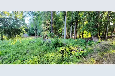 1810 Mason Street, Shelton, WA 98584 - Photo 4